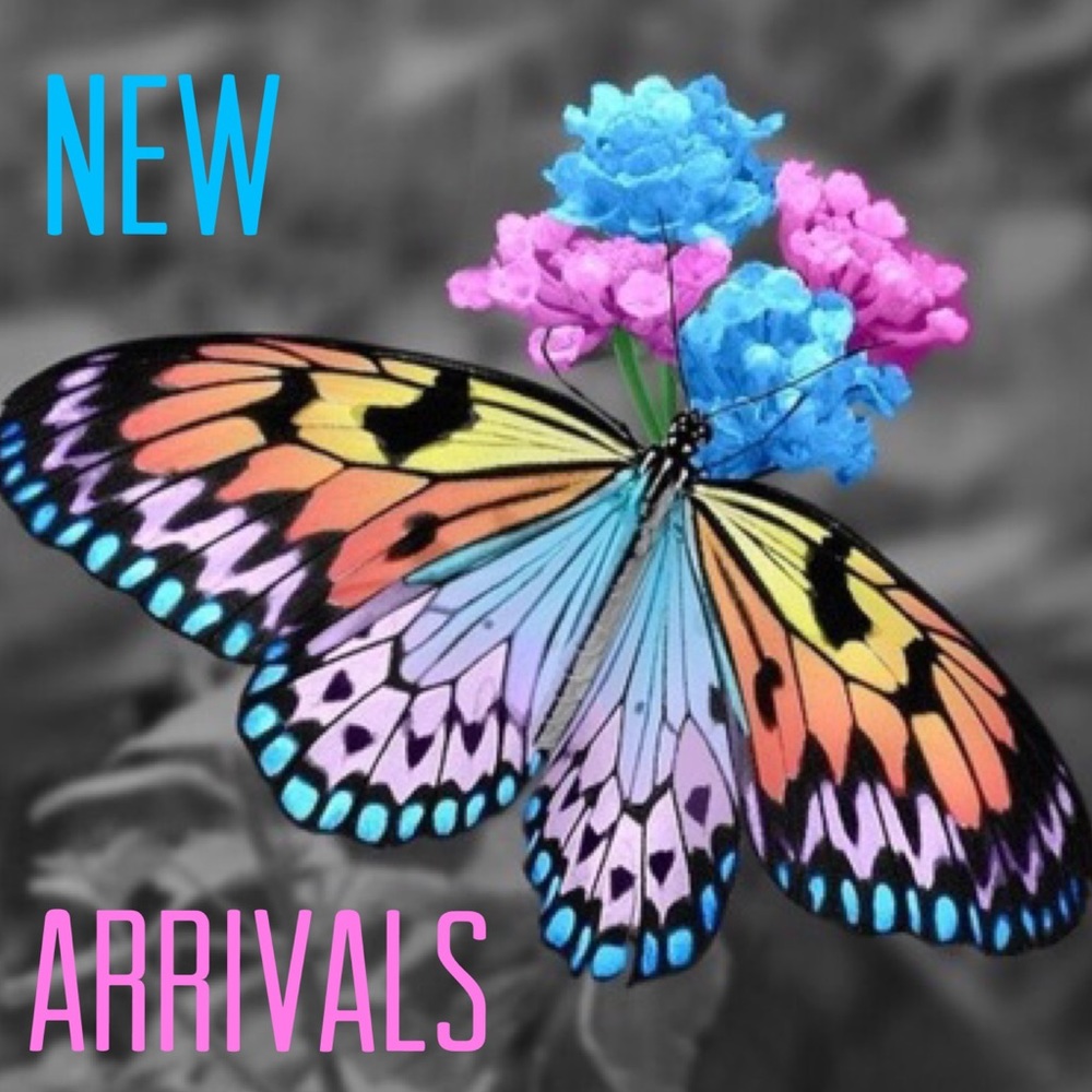 New Arrivals Dropping Daily